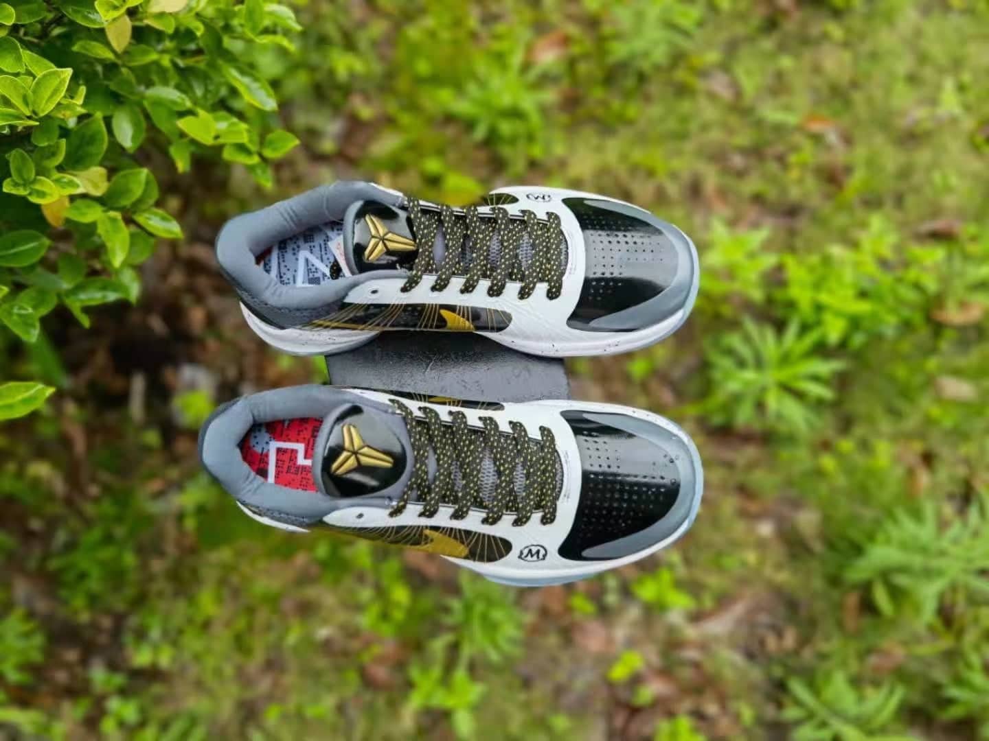 Kobe 5 x GIGI - Image 7