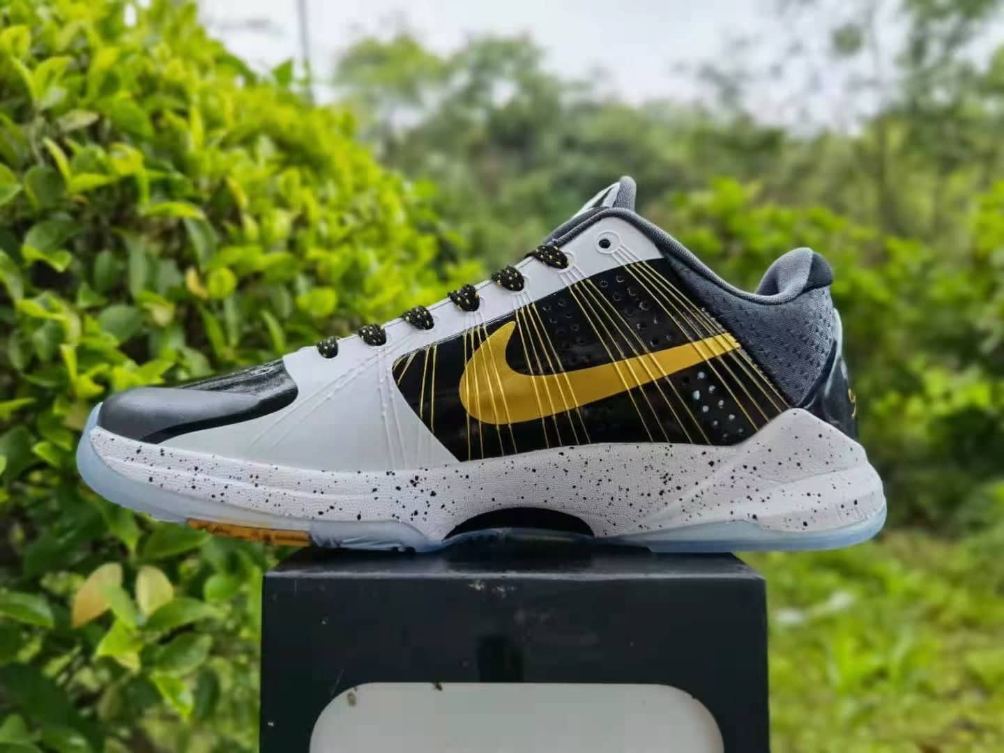 Kobe 5 x GIGI - Image 4