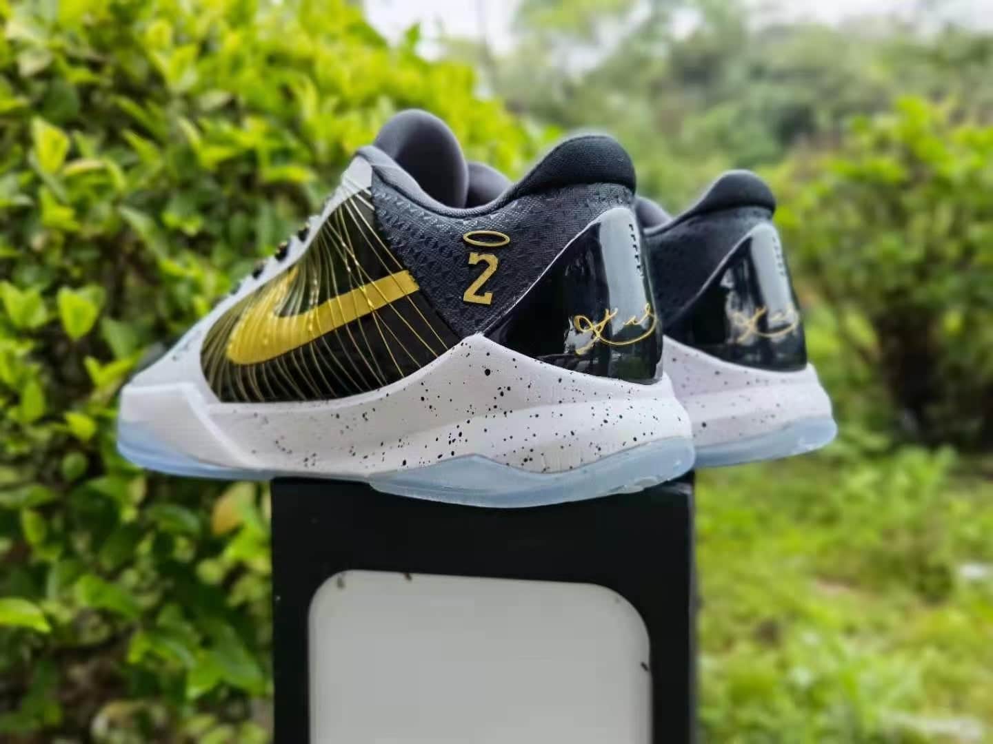 Kobe 5 x GIGI - Image 5