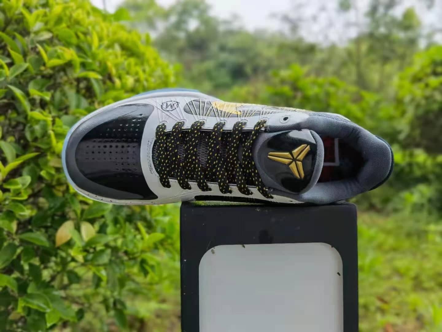 Kobe 5 x GIGI - Image 3