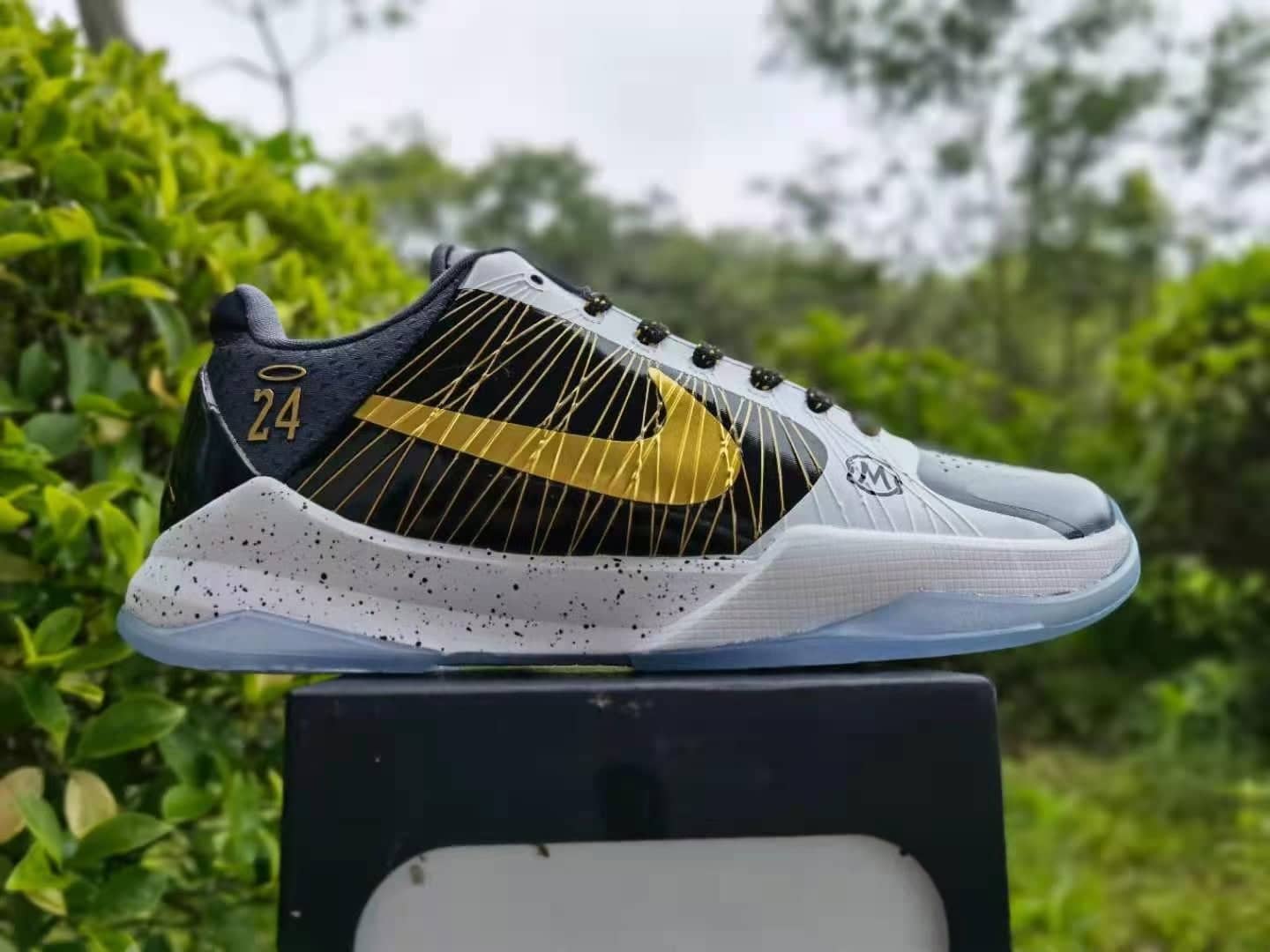 Kobe 5 x GIGI - Image 2