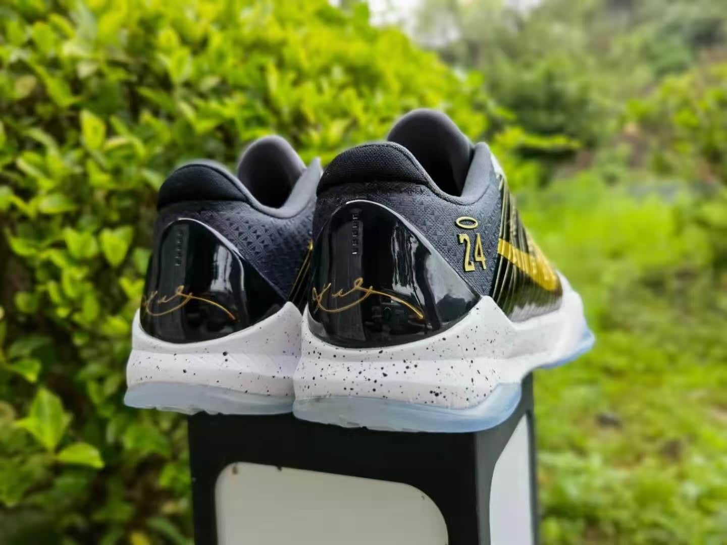 Kobe 5 x GIGI - Image 6